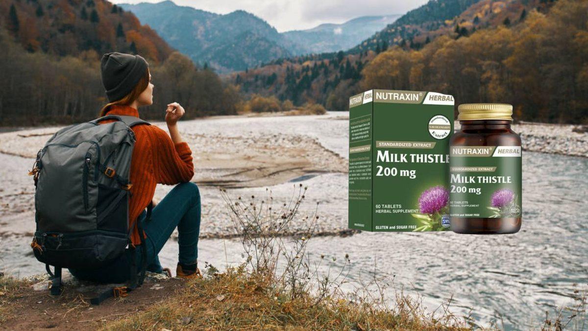 Takviye Edici Gıdalar Gerçekten İşe Yarıyor mu? Bilimsel Gerçekler, Riskler ve Doğru Kullanım Rehberi - Görsel 3