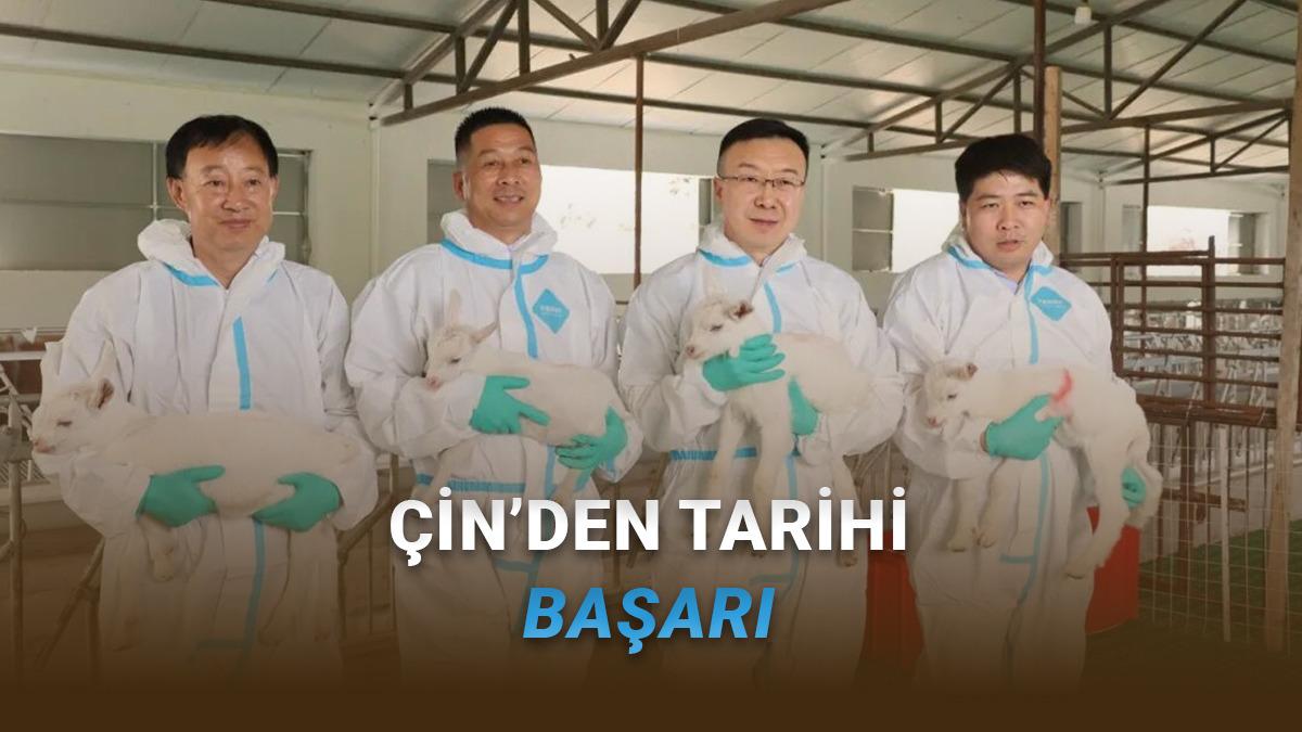 Klonlama Teknolojisi ile Geleceğin Süt Keçileri: Çin'in Devrimci Adımı 18 Çin’den Hayvancılıkta Devrim: Süper Yüksek Verimli Süt Keçileri Seri Hâlde Klonlandı!